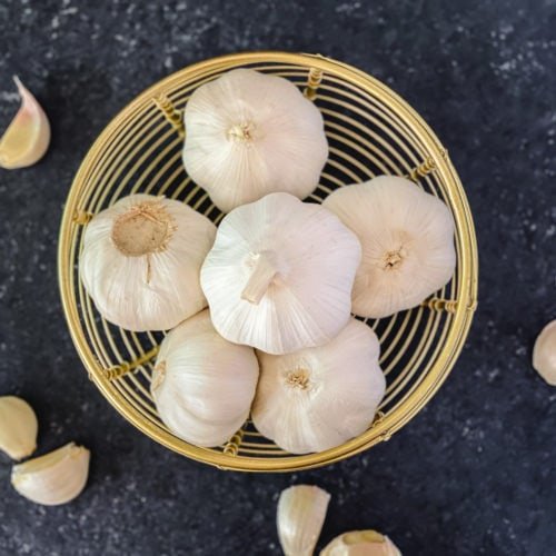 Detail Picture Of Garlic Nomer 17