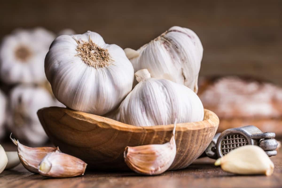 Detail Picture Of Garlic Nomer 18
