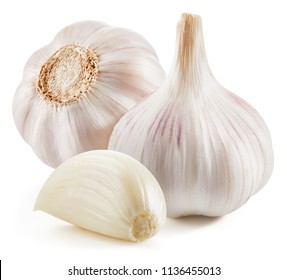 Detail Picture Of Garlic Nomer 25