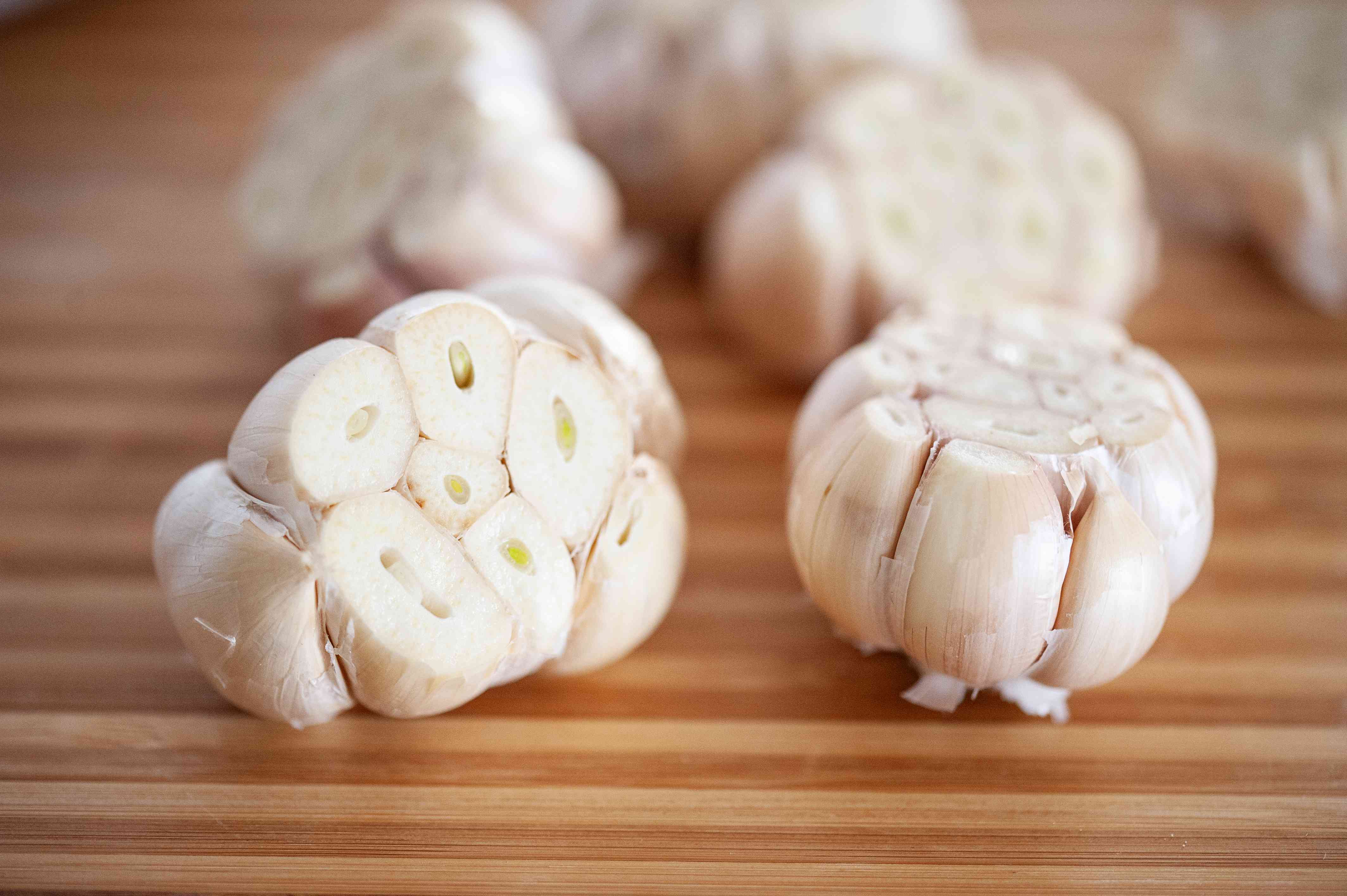 Detail Picture Of Garlic Nomer 26