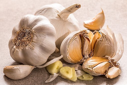 Detail Picture Of Garlic Nomer 28