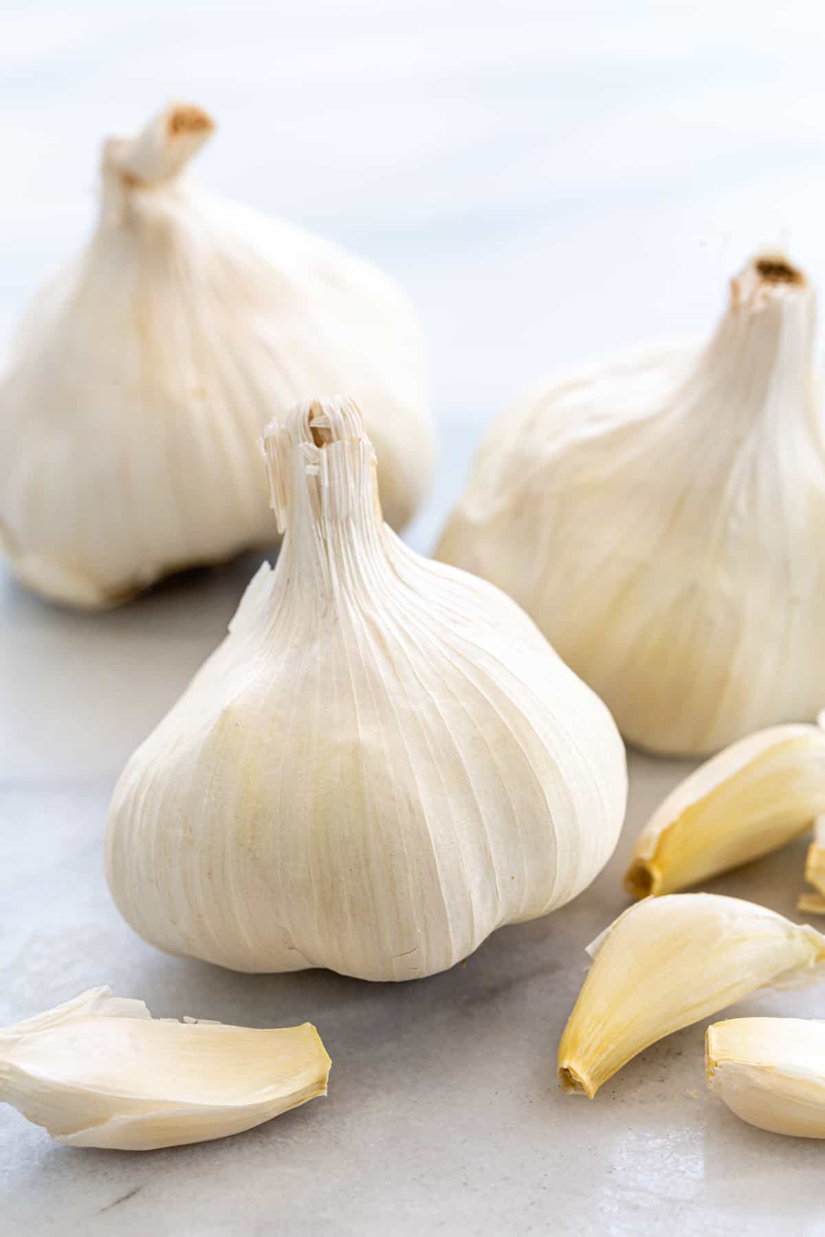 Detail Picture Of Garlic Nomer 4