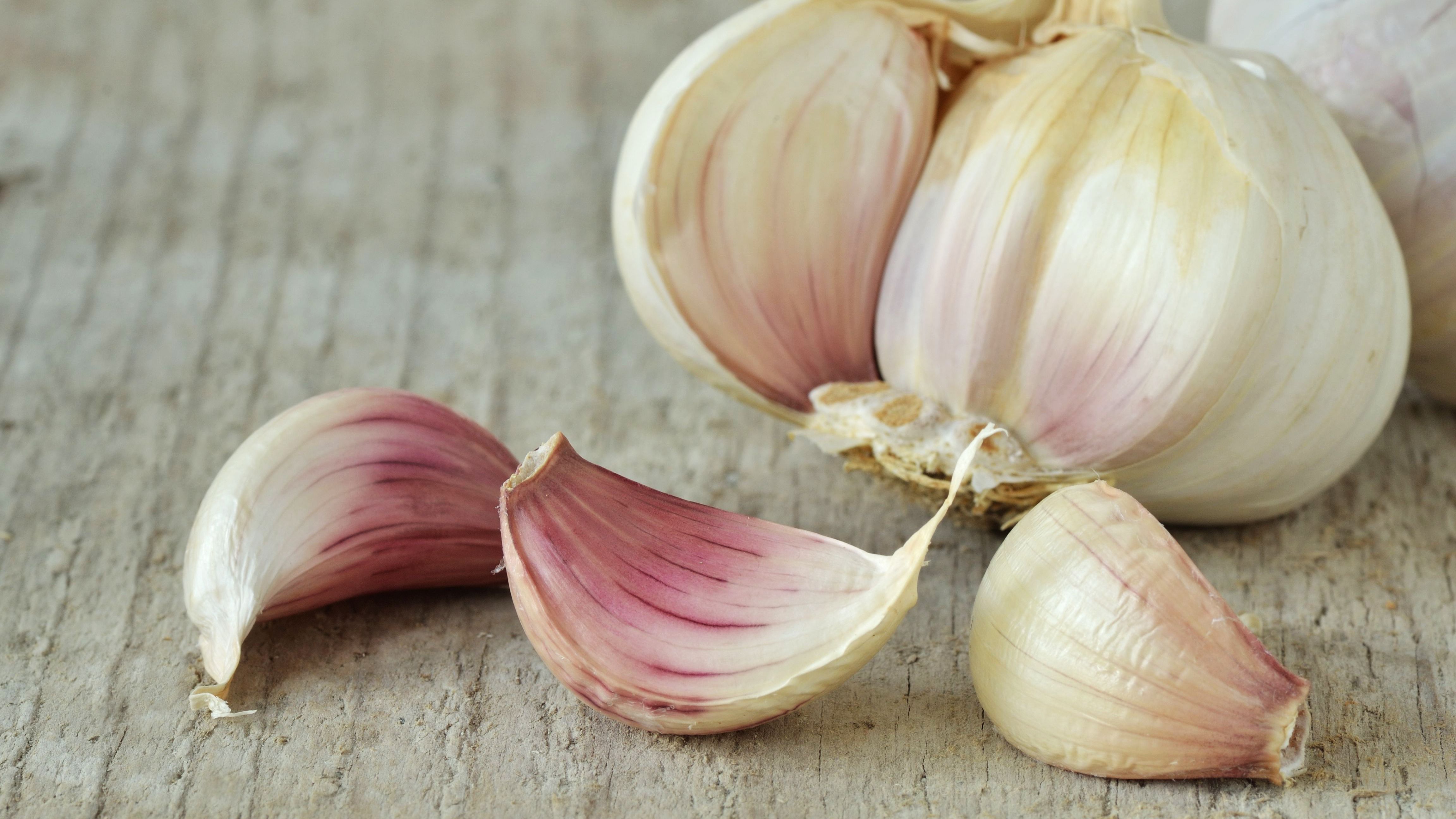 Detail Picture Of Garlic Nomer 5