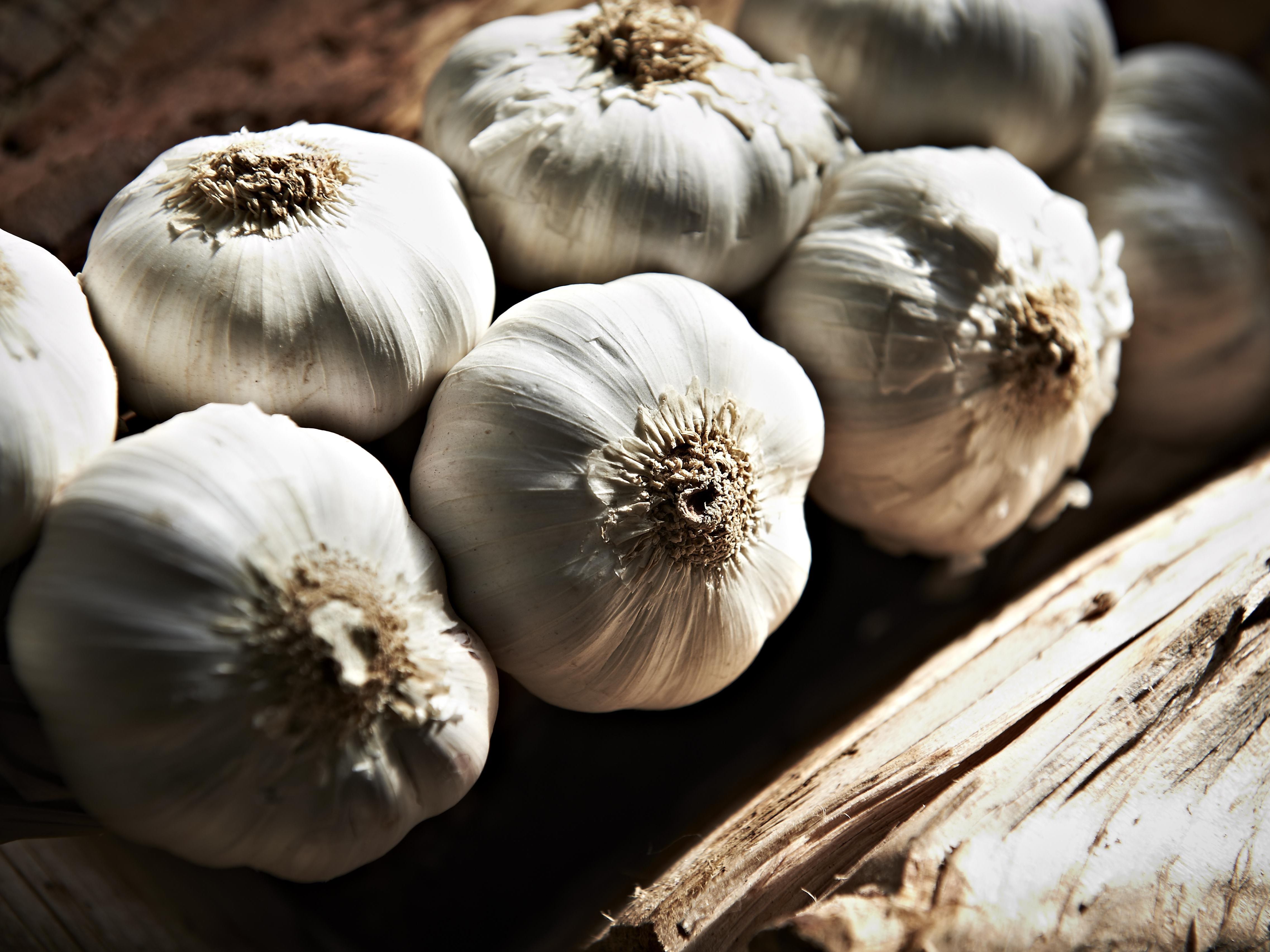 Detail Picture Of Garlic Nomer 53