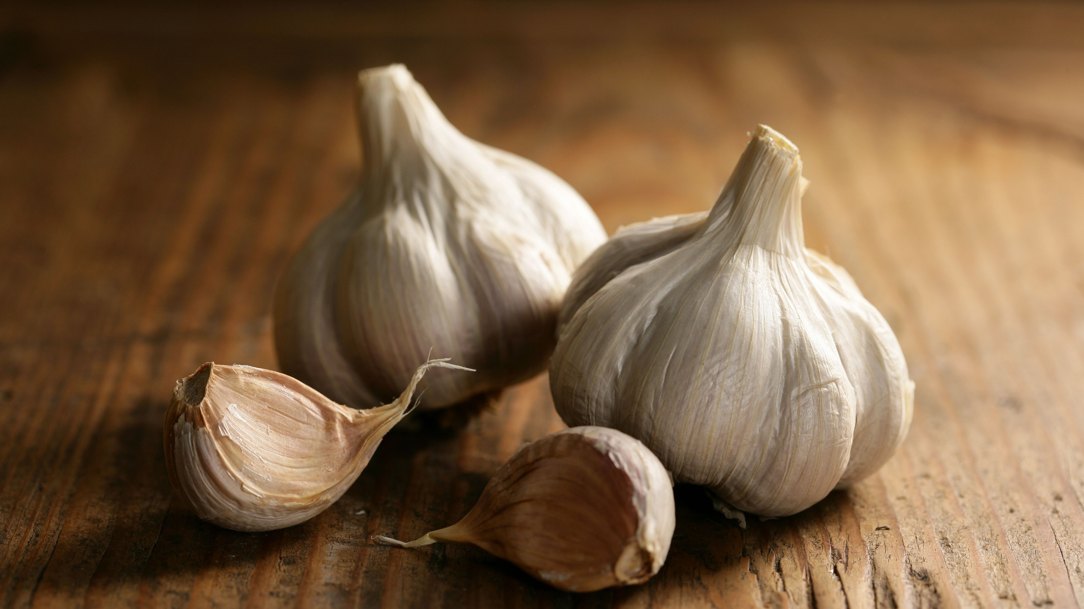 Detail Picture Of Garlic Nomer 8