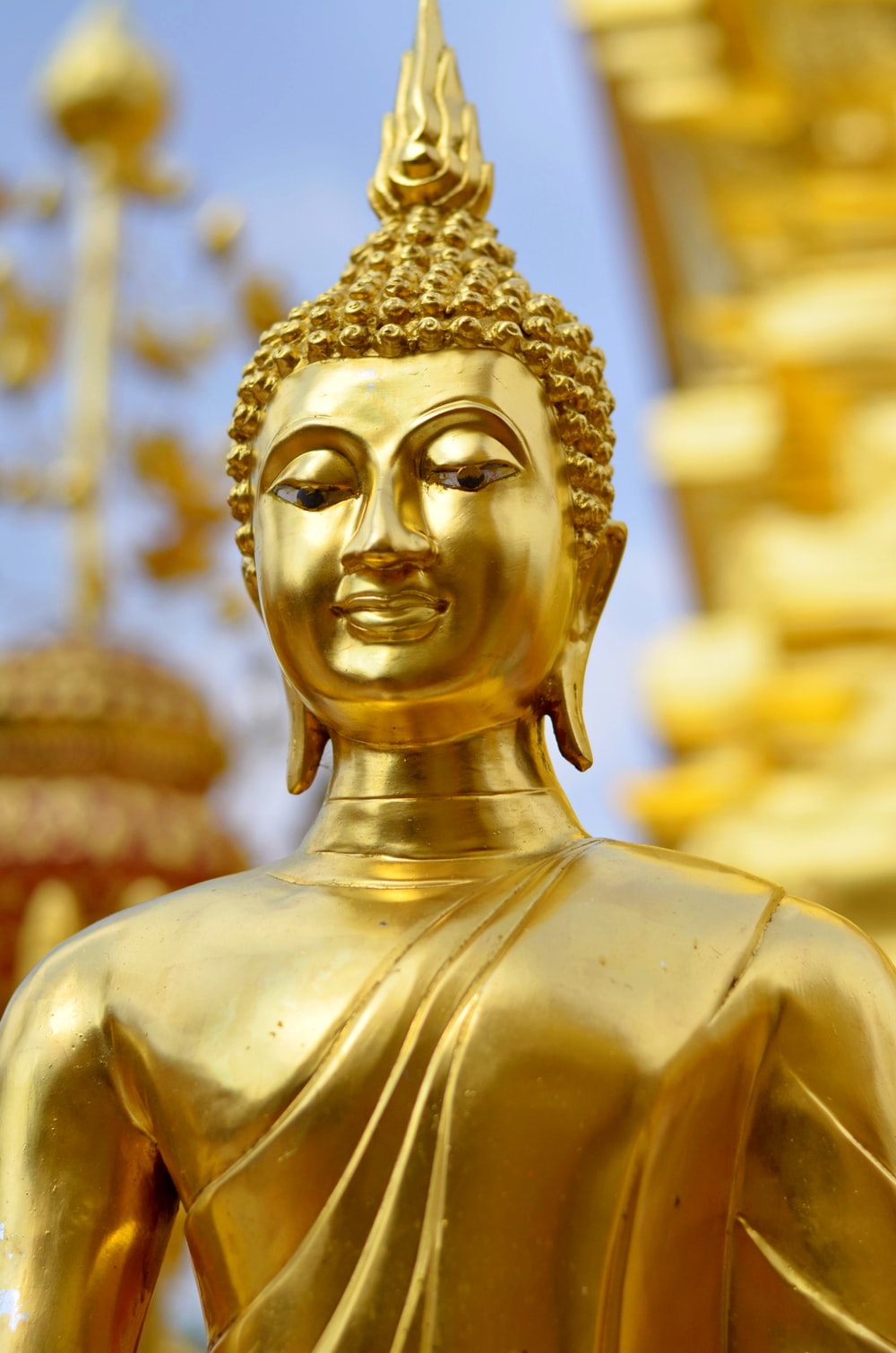 Detail Picture Of Gautam Buddha Nomer 21