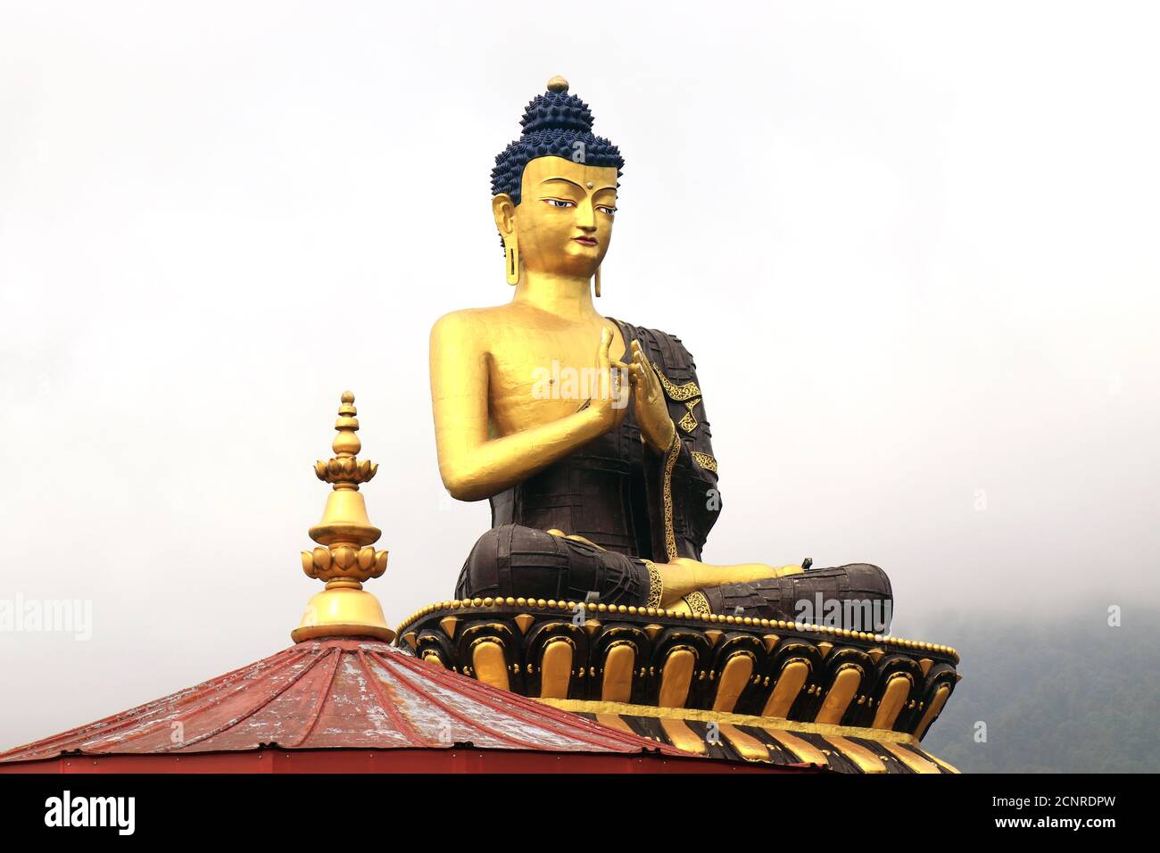 Detail Picture Of Gautam Buddha Nomer 36