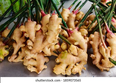 Detail Picture Of Ginger Plant Nomer 24