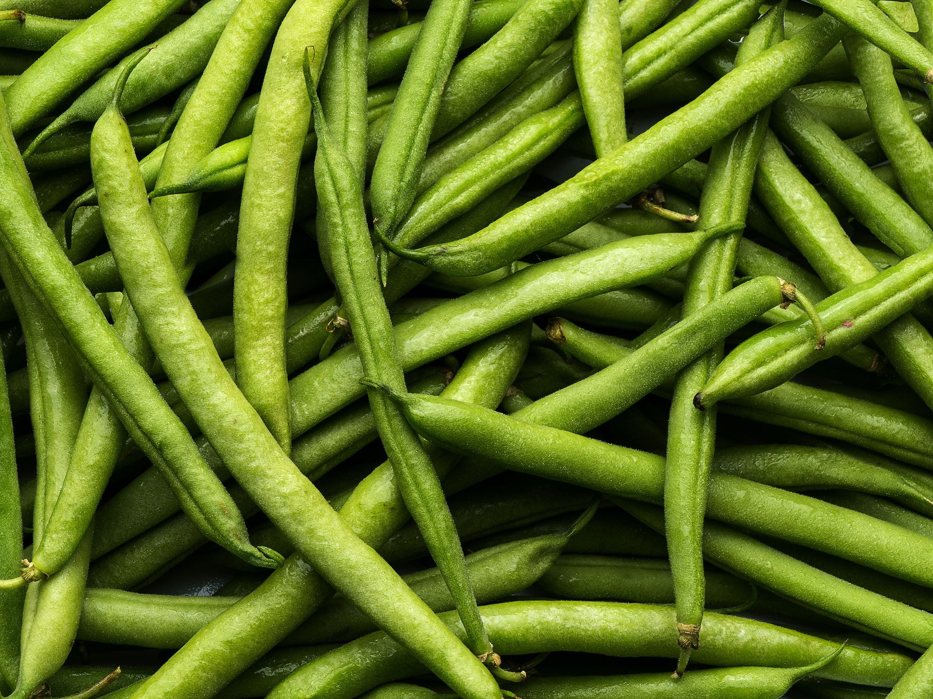 Detail Picture Of Green Beans Nomer 5