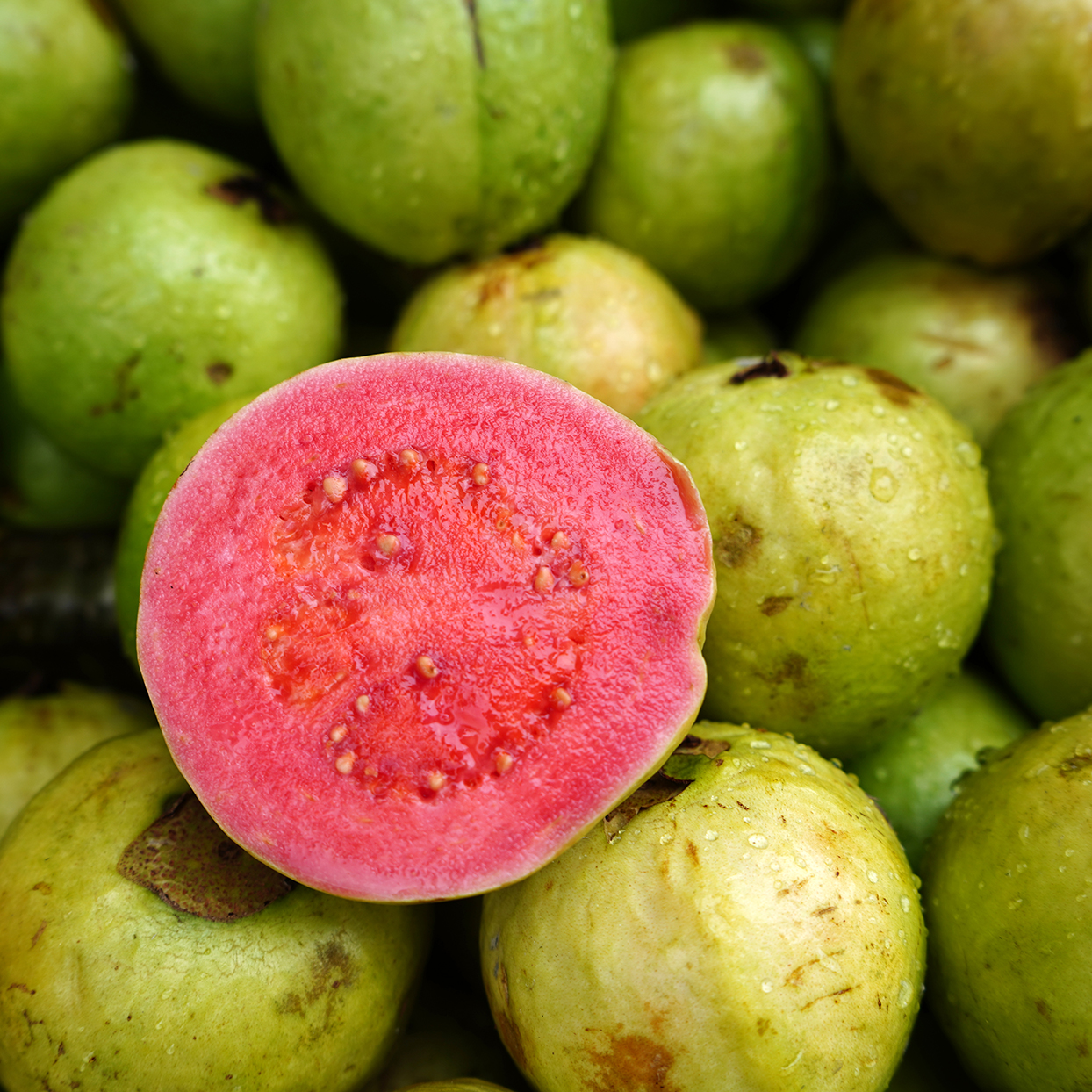 Detail Picture Of Guava Fruit Nomer 6