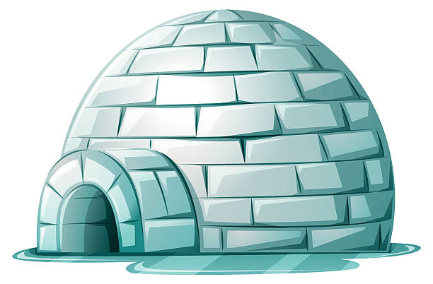 Detail Picture Of Igloo Nomer 7