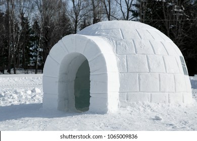 Detail Picture Of Igloo Nomer 8