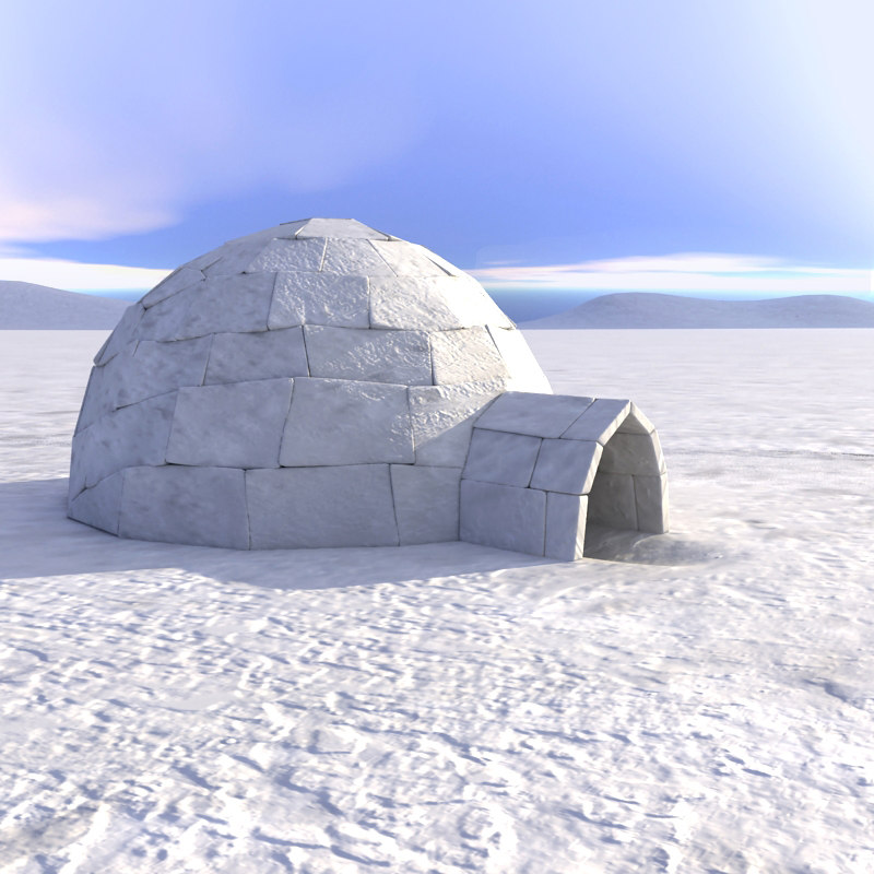 Detail Picture Of Igloo House Nomer 15