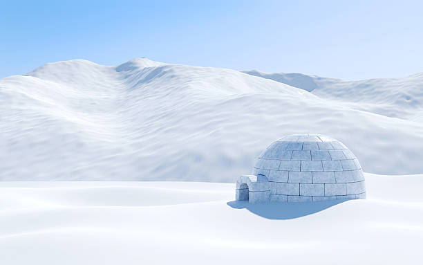 Detail Picture Of Igloo House Nomer 20