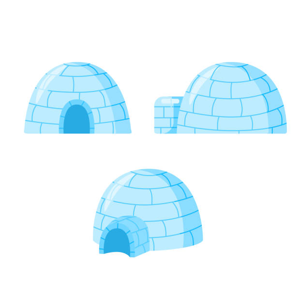 Detail Picture Of Igloo House Nomer 42