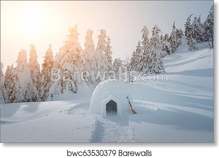 Detail Picture Of Igloo House Nomer 50