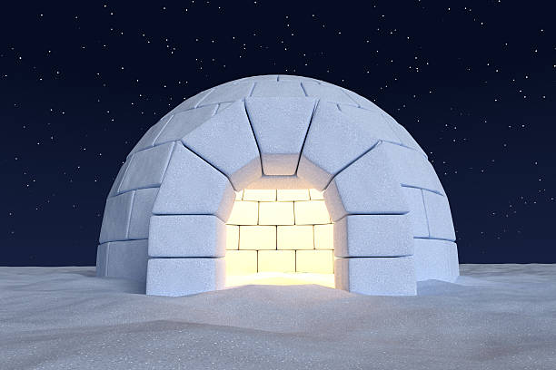 Detail Picture Of Igloo House Nomer 52