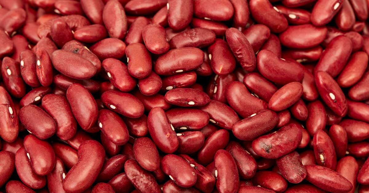 Picture Of Kidney Beans - KibrisPDR