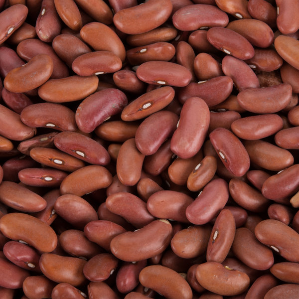 Detail Picture Of Kidney Beans Nomer 19