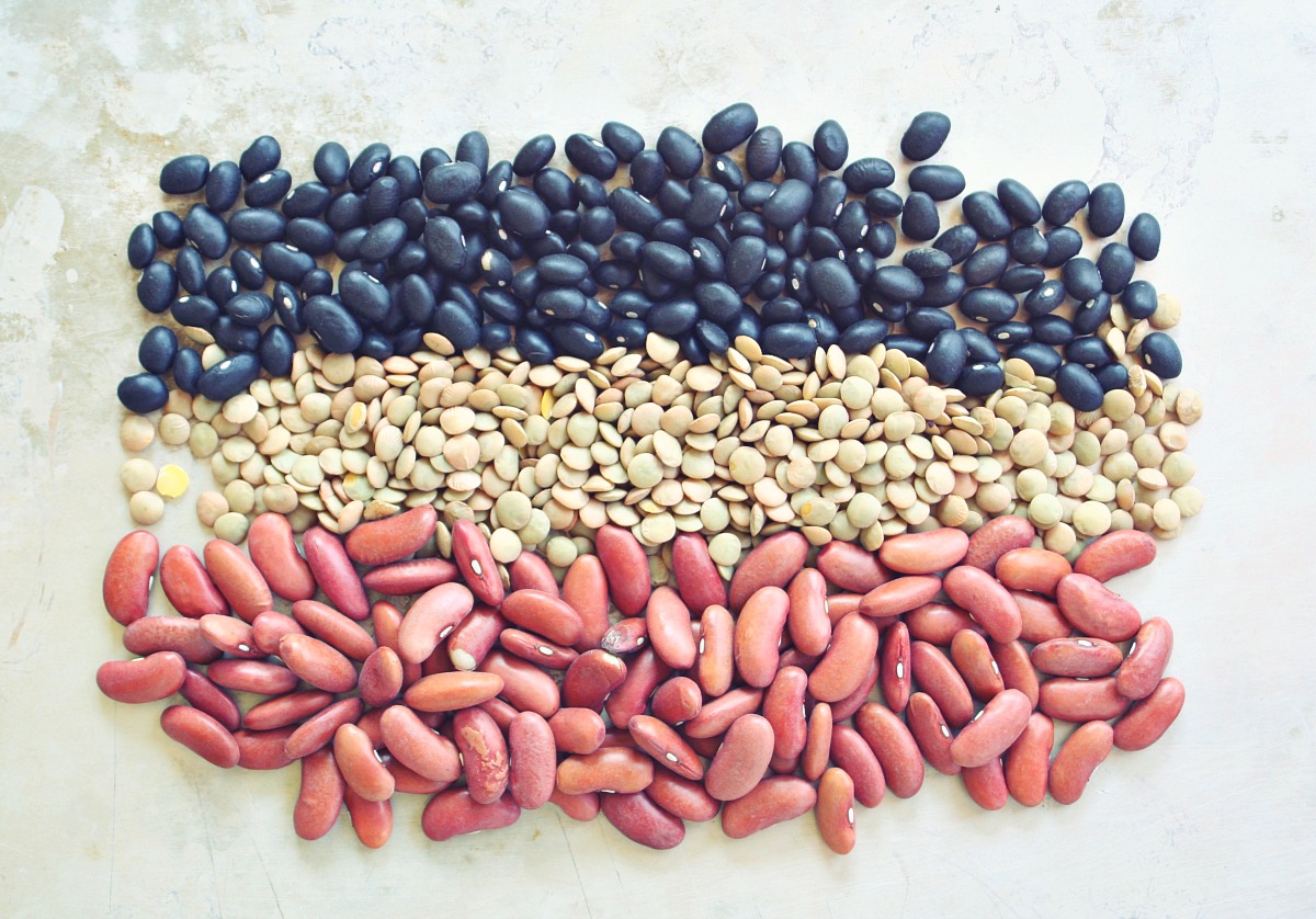 Detail Picture Of Kidney Beans Nomer 34