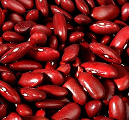 Detail Picture Of Kidney Beans Nomer 42