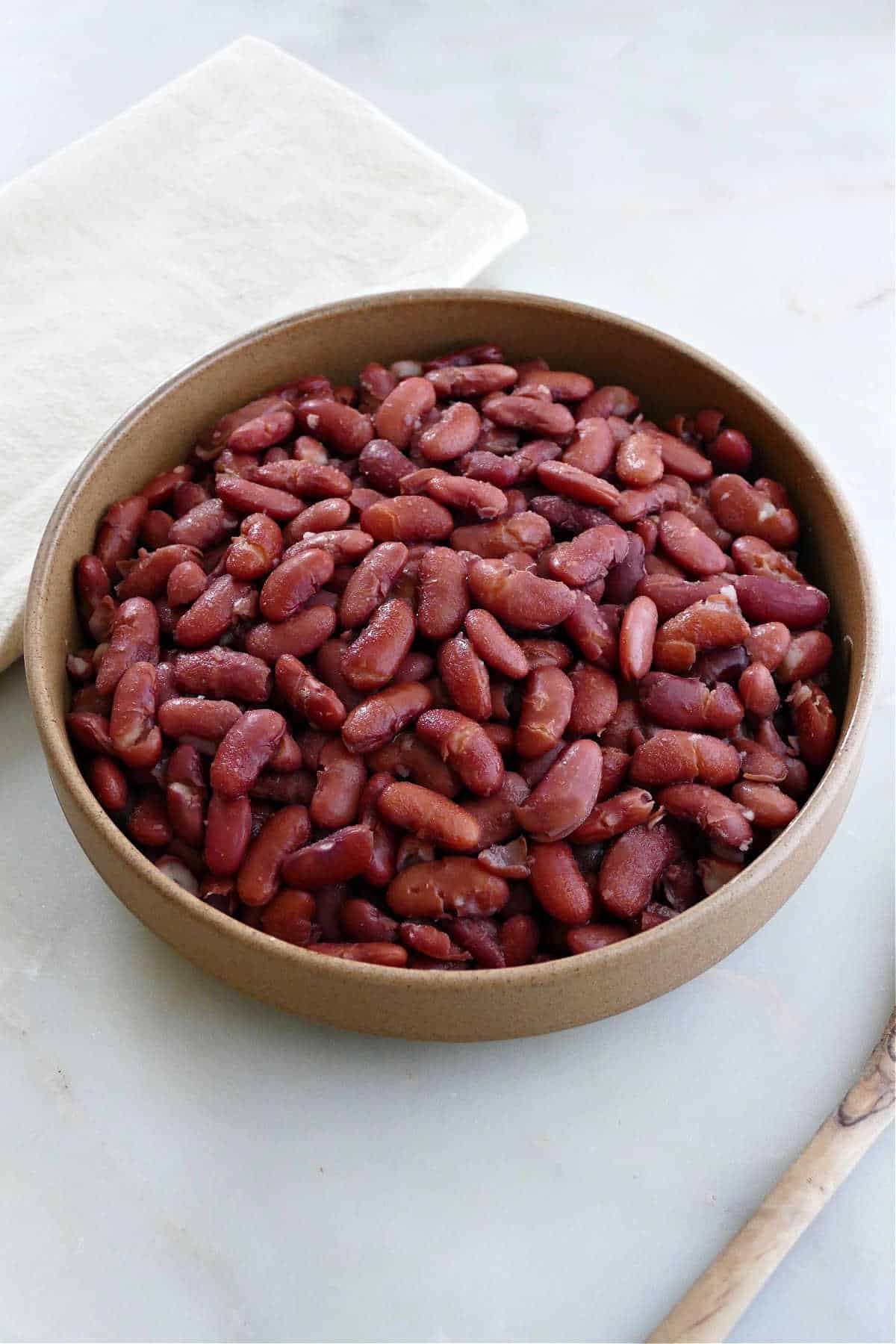 Detail Picture Of Kidney Beans Nomer 52