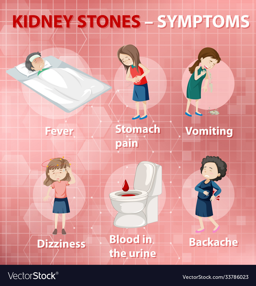 Detail Picture Of Kidney Stone In Toilet Nomer 21