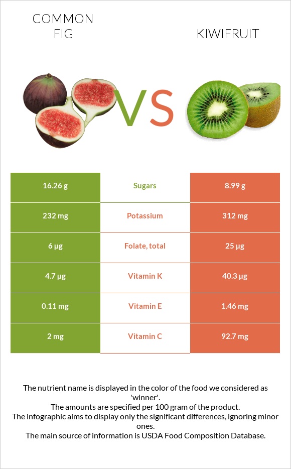 Detail Picture Of Kiwi Fruit Nomer 34