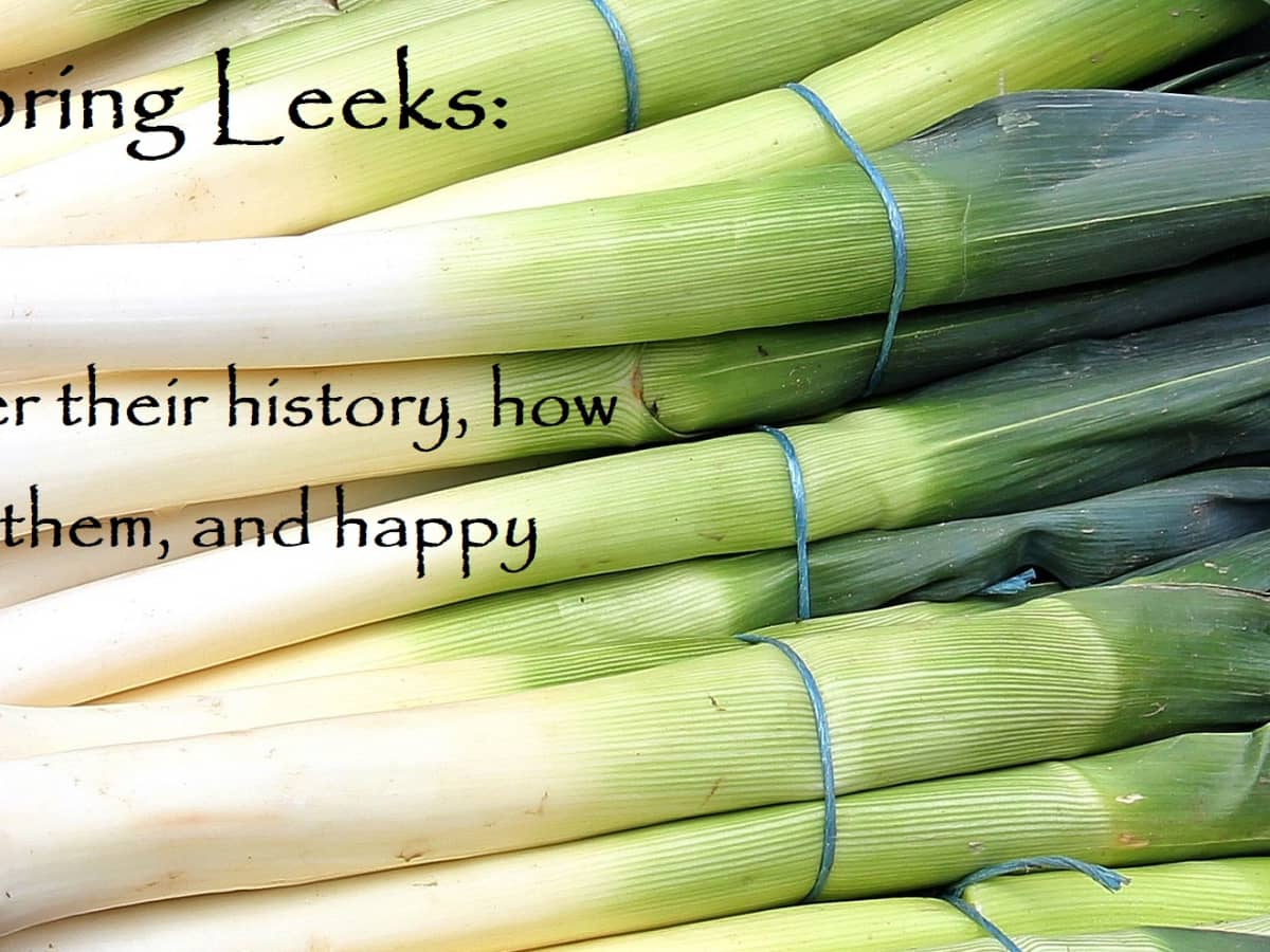 Detail Picture Of Leek Vegetable Nomer 35