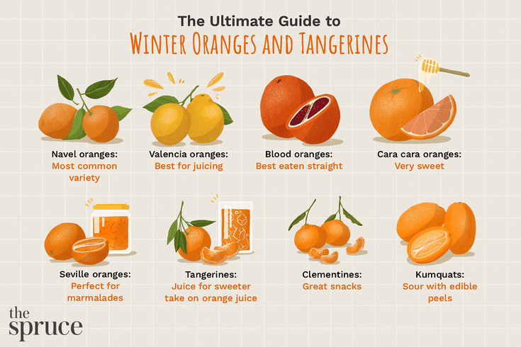 Detail Picture Of Mandarin Oranges Nomer 4