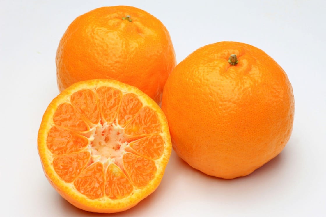 Detail Picture Of Mandarin Oranges Nomer 36