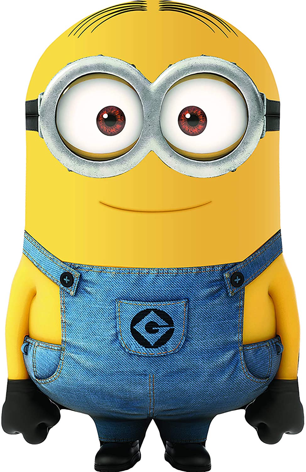 Detail Picture Of Minion Nomer 3