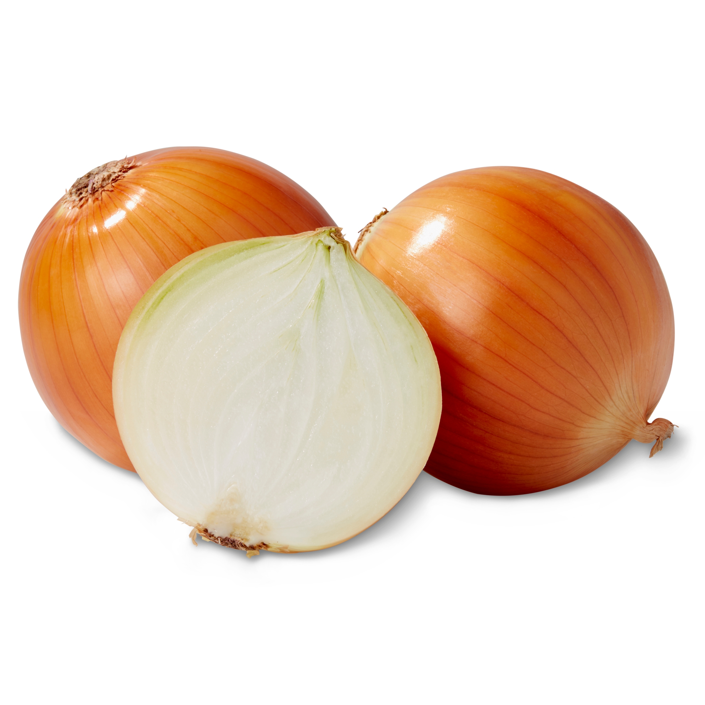 Detail Picture Of Onion Nomer 18
