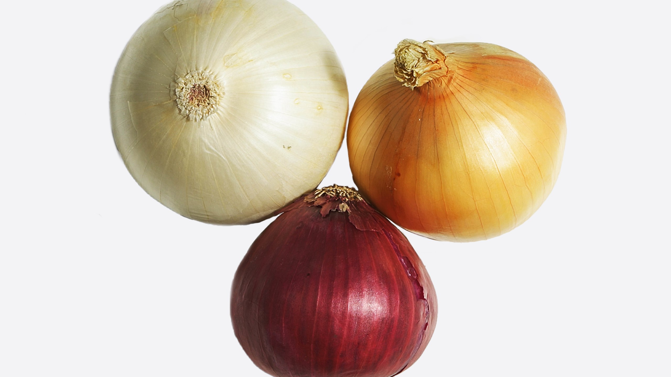 Detail Picture Of Onion Nomer 25