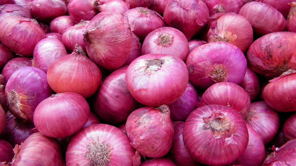 Detail Picture Of Onion Nomer 30