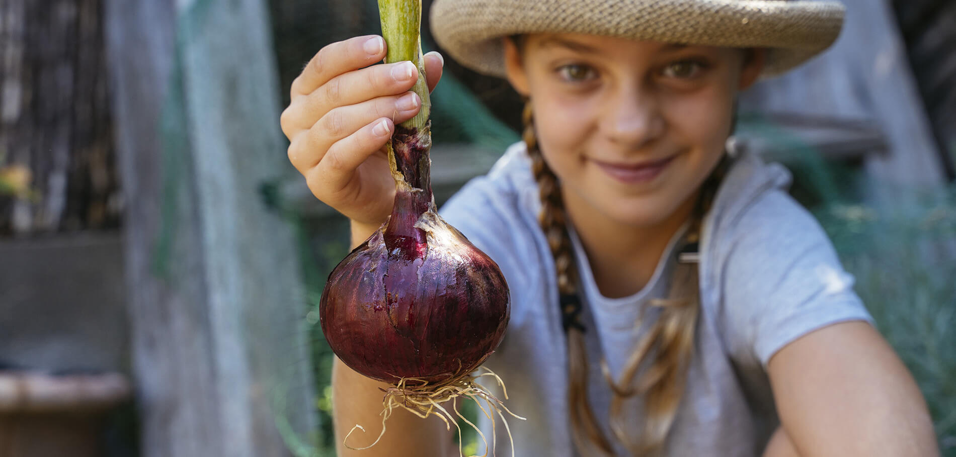 Detail Picture Of Onion Nomer 34