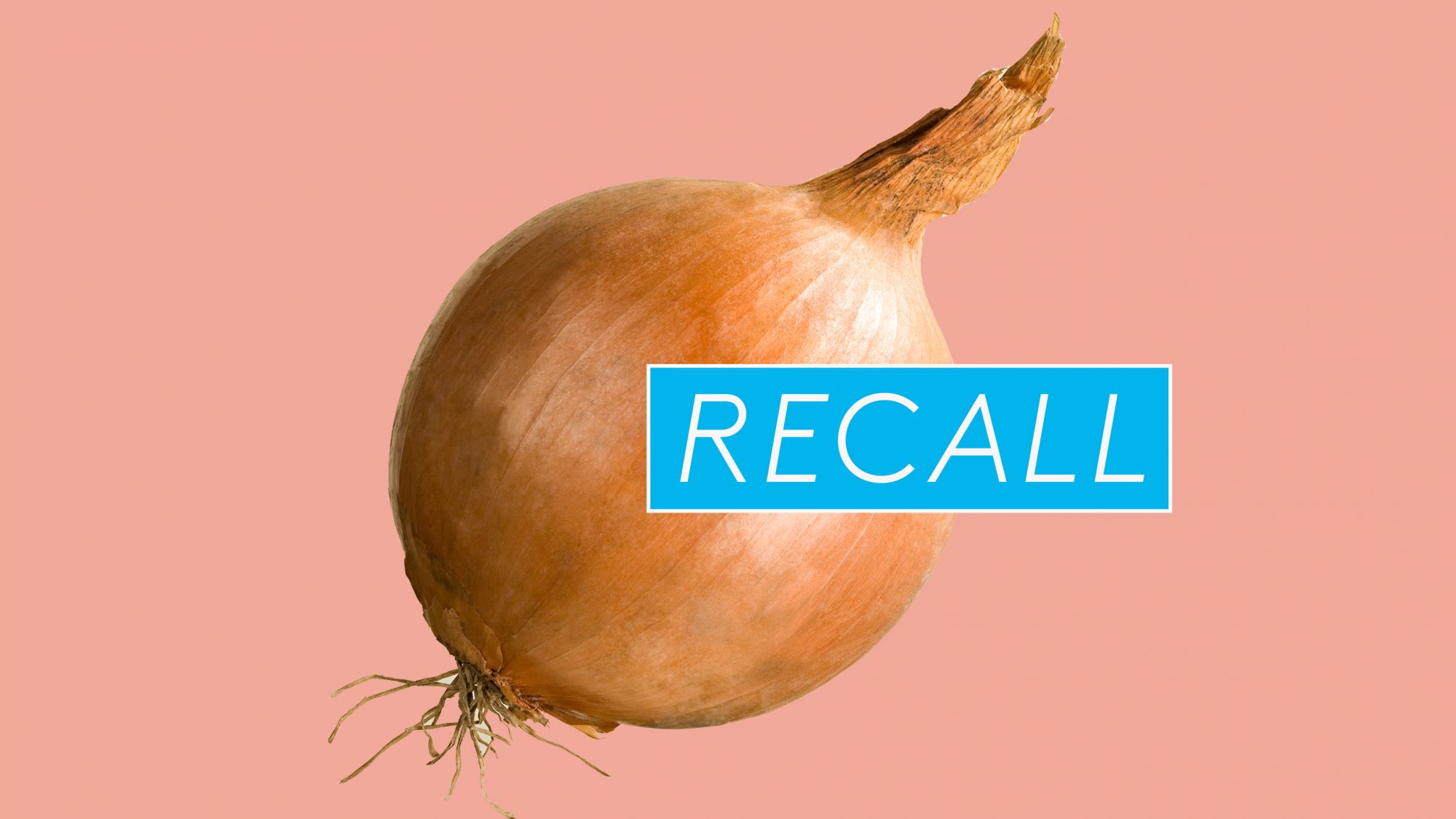Detail Picture Of Onion Nomer 38