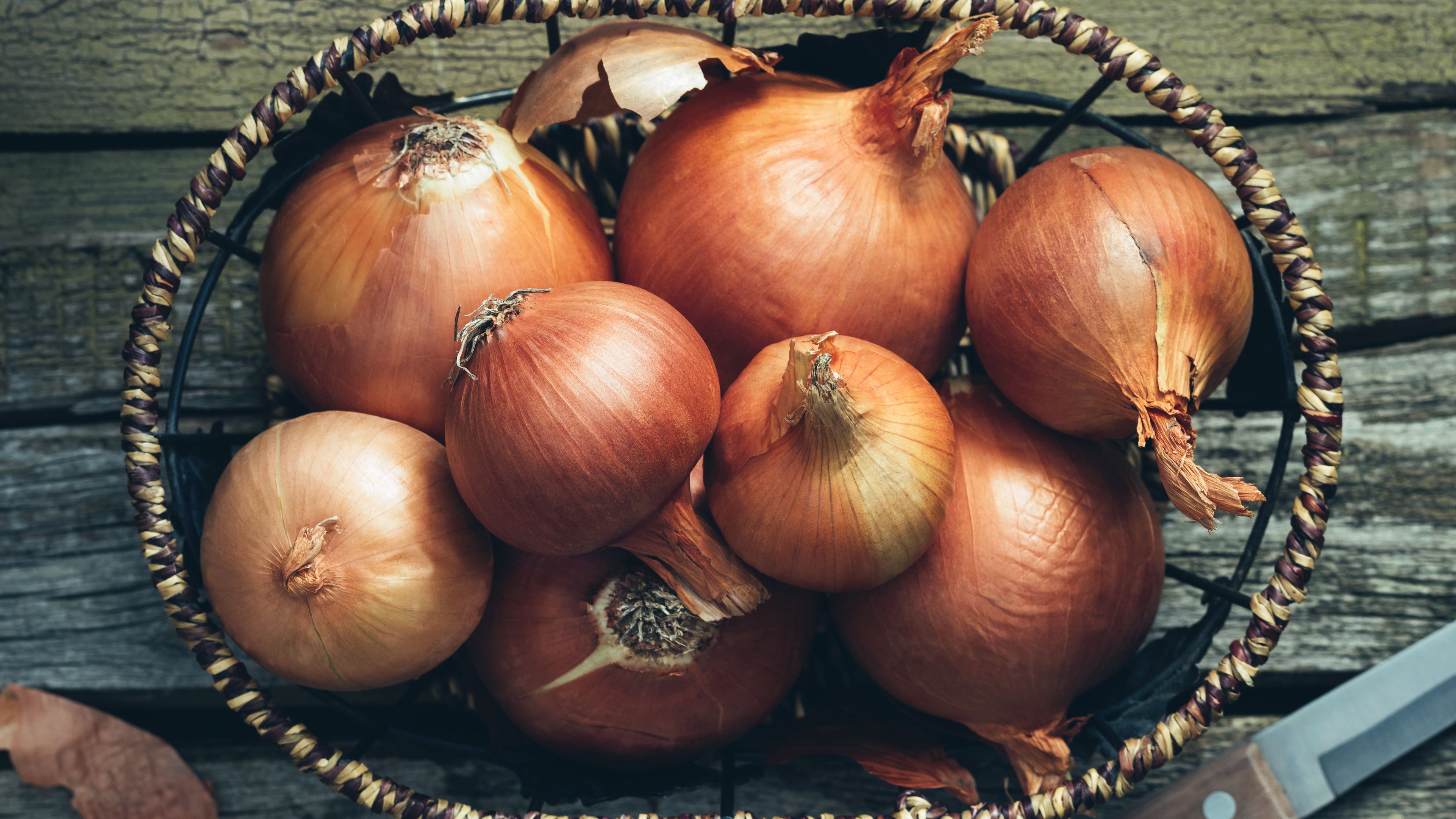 Detail Picture Of Onion Nomer 39