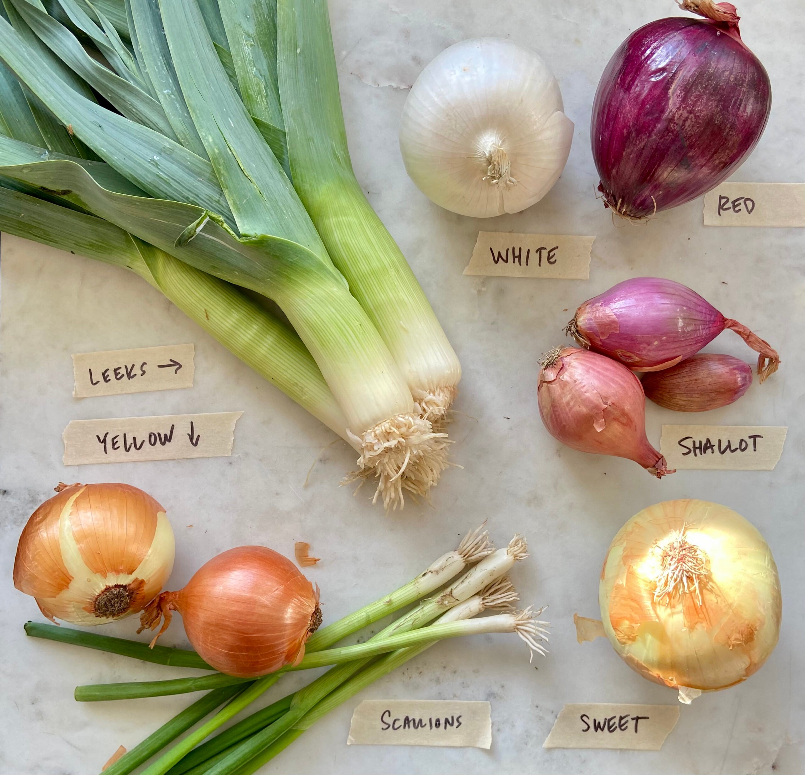Detail Picture Of Onion Nomer 40
