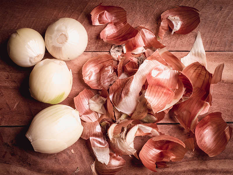 Detail Picture Of Onion Nomer 44