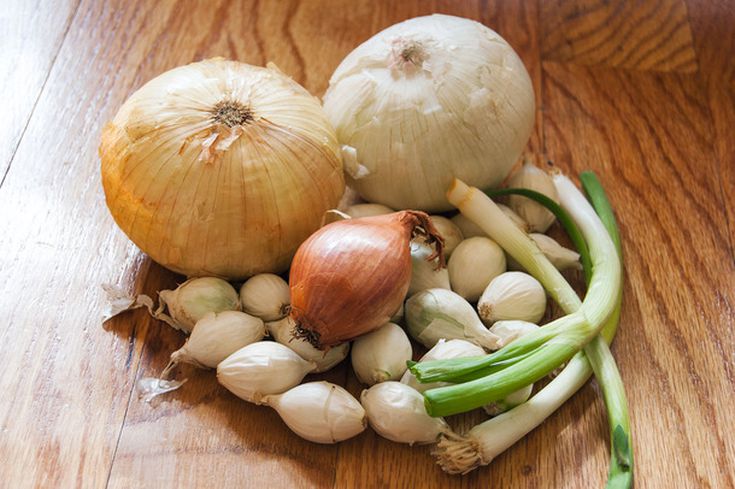 Detail Picture Of Onion Nomer 46