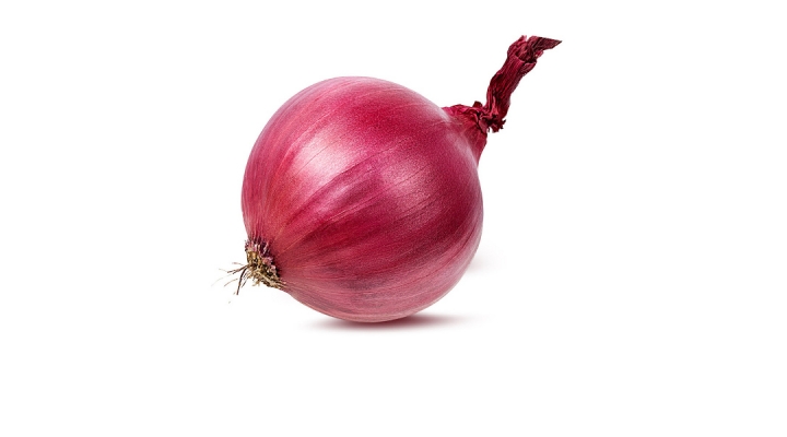 Detail Picture Of Onion Nomer 50