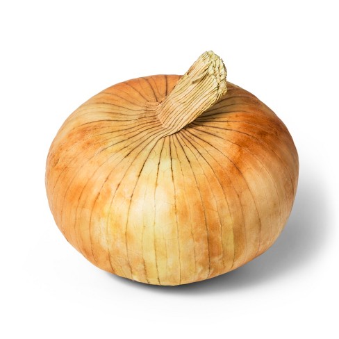Detail Picture Of Onion Nomer 52