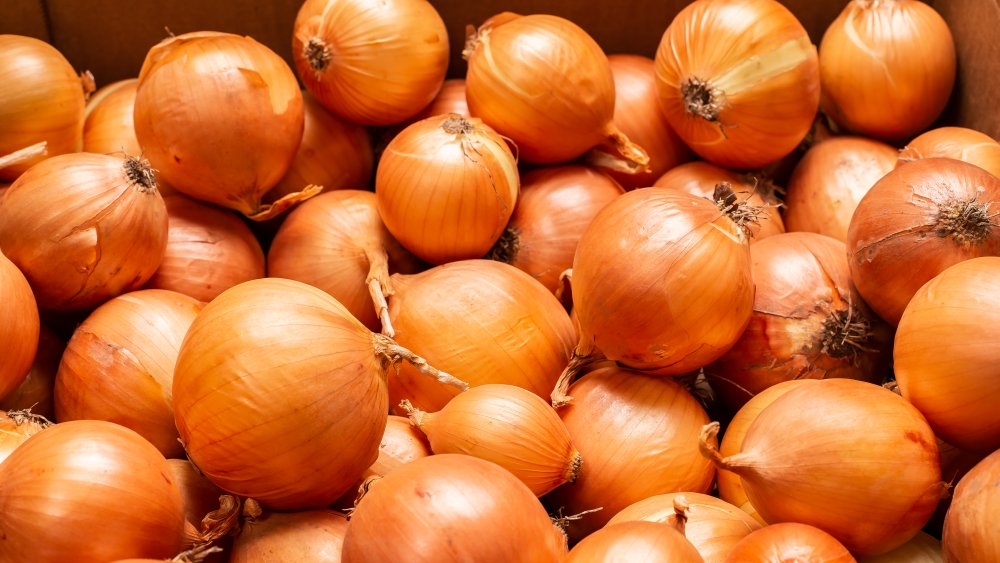 Detail Picture Of Onion Nomer 54