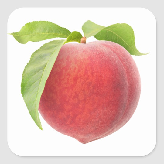 Detail Picture Of Peach Fruit Nomer 10