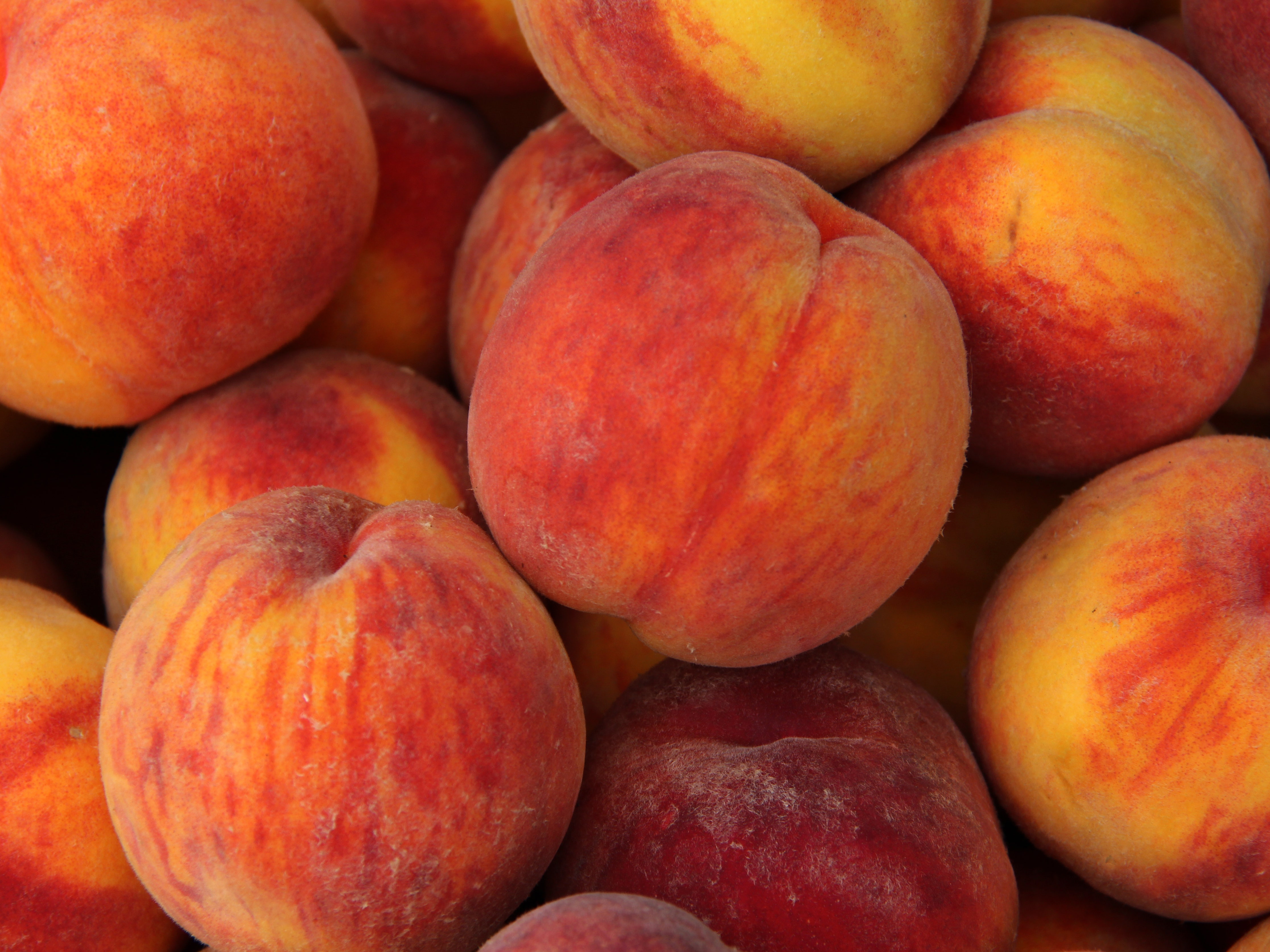 Detail Picture Of Peach Fruit Nomer 20