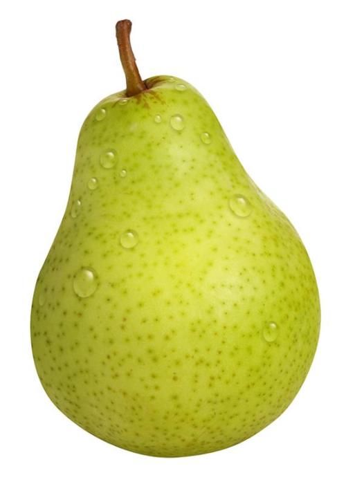 Detail Picture Of Pear Fruit Nomer 10