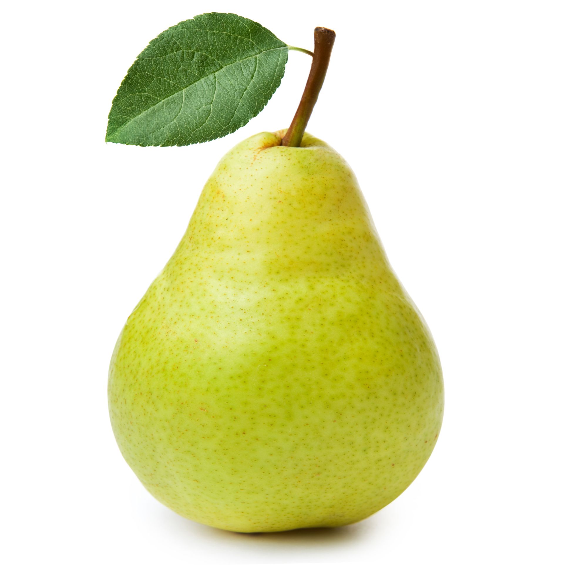 Detail Picture Of Pear Fruit Nomer 12