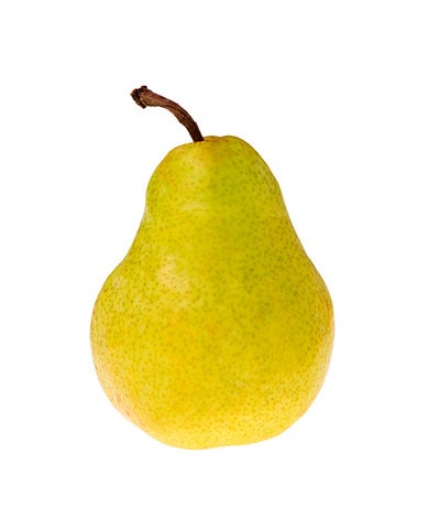 Detail Picture Of Pear Fruit Nomer 24