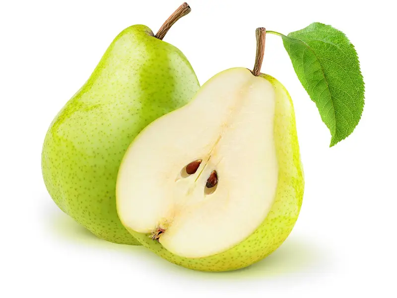 Detail Picture Of Pear Fruit Nomer 5